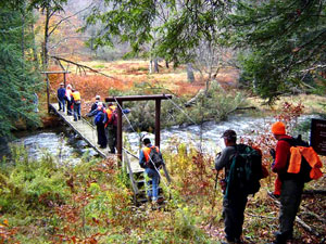 Susquehannock Trail in Potter County