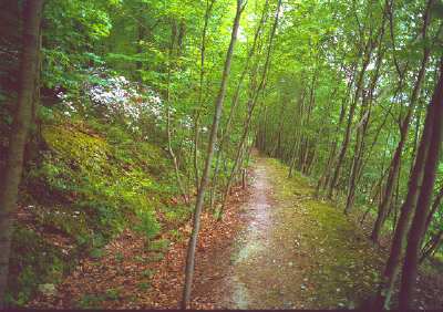 MONEY ROCKS RAIL PATH PHOTO